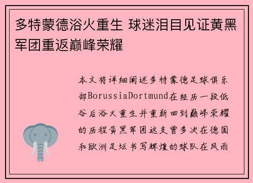 多特蒙德浴火重生 球迷泪目见证黄黑军团重返巅峰荣耀