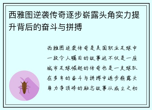 西雅图逆袭传奇逐步崭露头角实力提升背后的奋斗与拼搏
