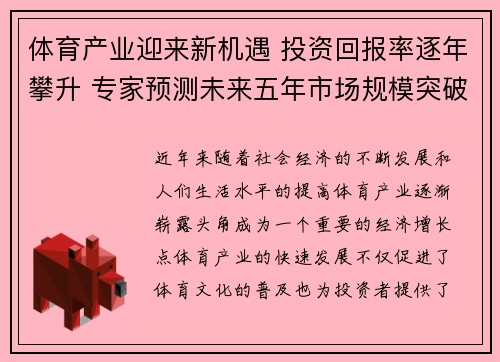 体育产业迎来新机遇 投资回报率逐年攀升 专家预测未来五年市场规模突破万亿