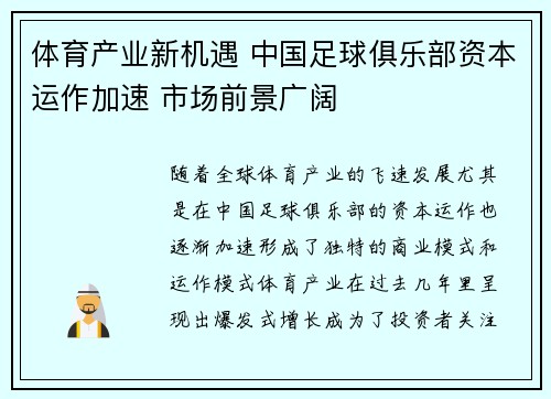 体育产业新机遇 中国足球俱乐部资本运作加速 市场前景广阔